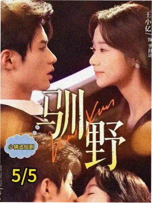 高清观看视频推荐